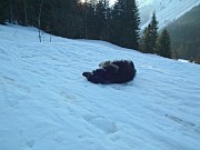 17 si rinfresca nella neve...